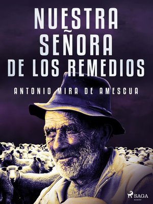 cover image of Nuestra señora de los Remedios